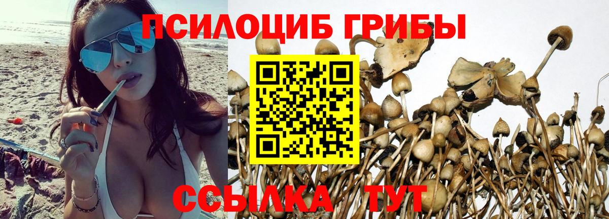 Галлюциногенные грибы GOLDEN TEACHER Асино